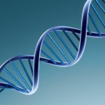 PATERNITY AND DNA TESTS IN HALACHA