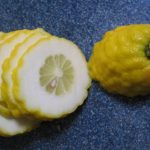 An Etrog or a Lemon?